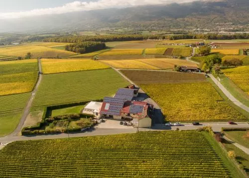 Domaine des Bossons, famille Leyvraz