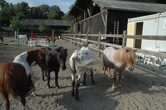 Manège et Poney Club de Presinge